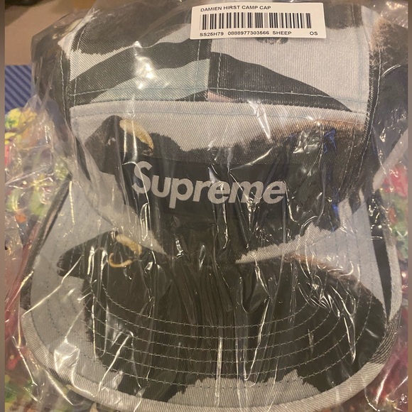Supreme Damien Hirst Camp Cap - Picture 4 of 6